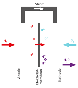 BIOPOLARPLATTEN AUFBAU